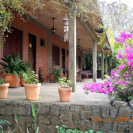 Posada Del Bosque Rivera Ngoại thất bức ảnh