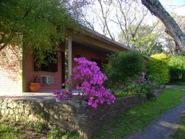 Posada Del Bosque Rivera Ngoại thất bức ảnh